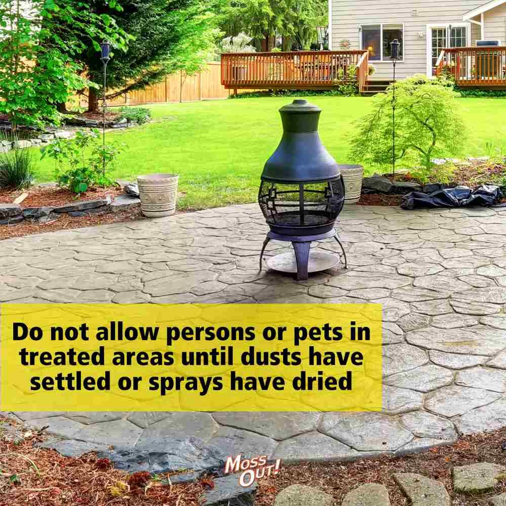 Moss Out! for Roofs & Walks RTS, 27-Oz