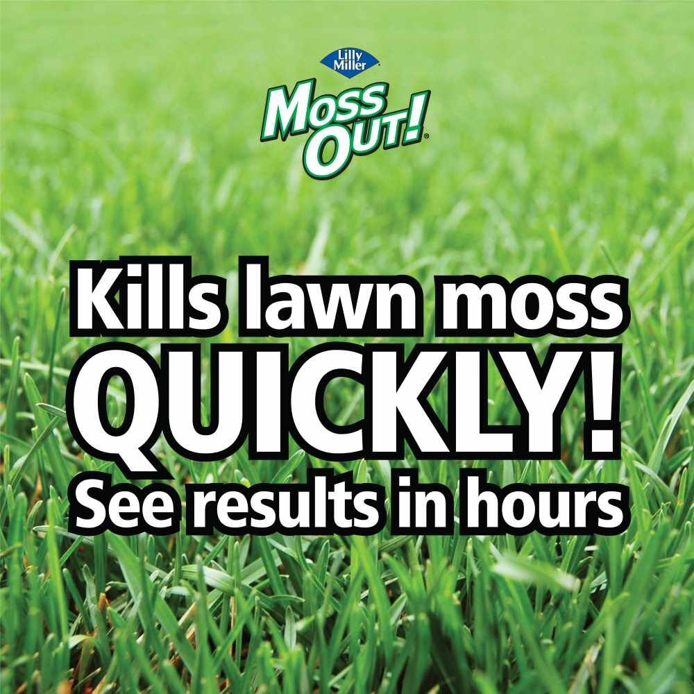 Moss Out! Plus Fertilizer For Lawns 20-0-05, 20-Lb