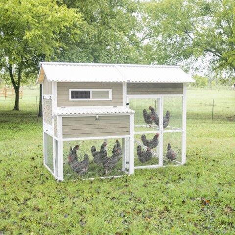 Precision Pet XL Chicken Barn Coop, White