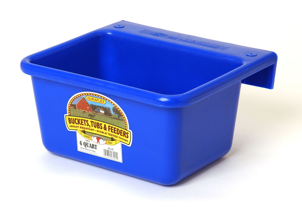 Little Giant Plastic Mini Feeder - Blue, 6 qt