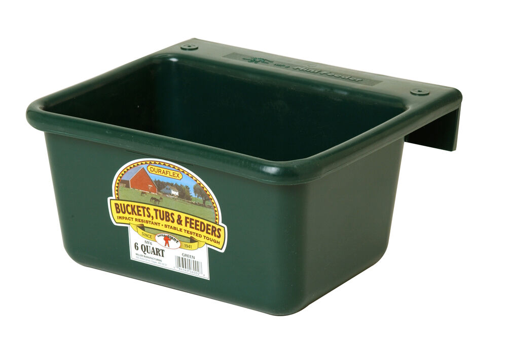 Little Giant Plastic Mini Feeder - Green, 6 qt