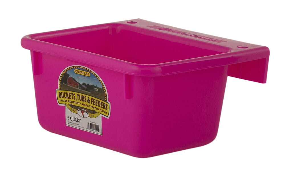 Little Giant Plastic Mini Feeder - Hot Pink, 6 qt
