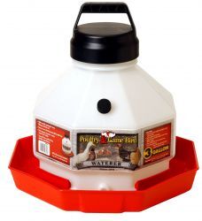 3 Gallon Plastic Poultry Waterer