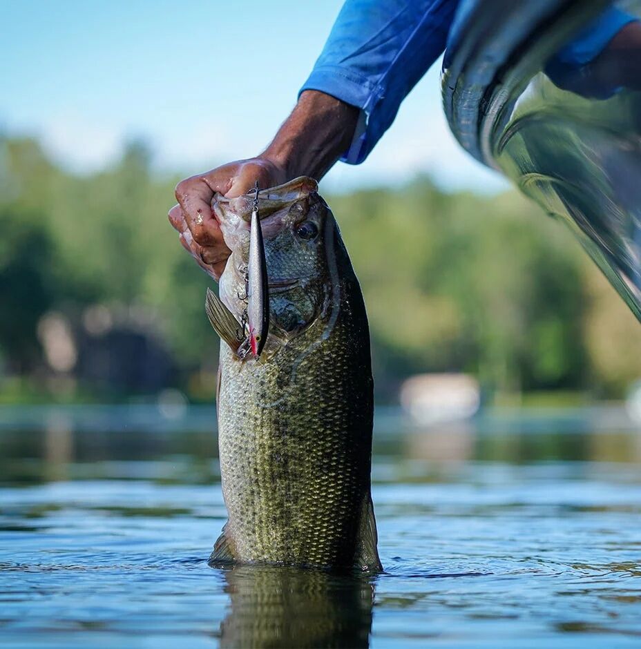 Rapala Original Floating Silver Lure, 4 3/8-In, 3/16-Oz