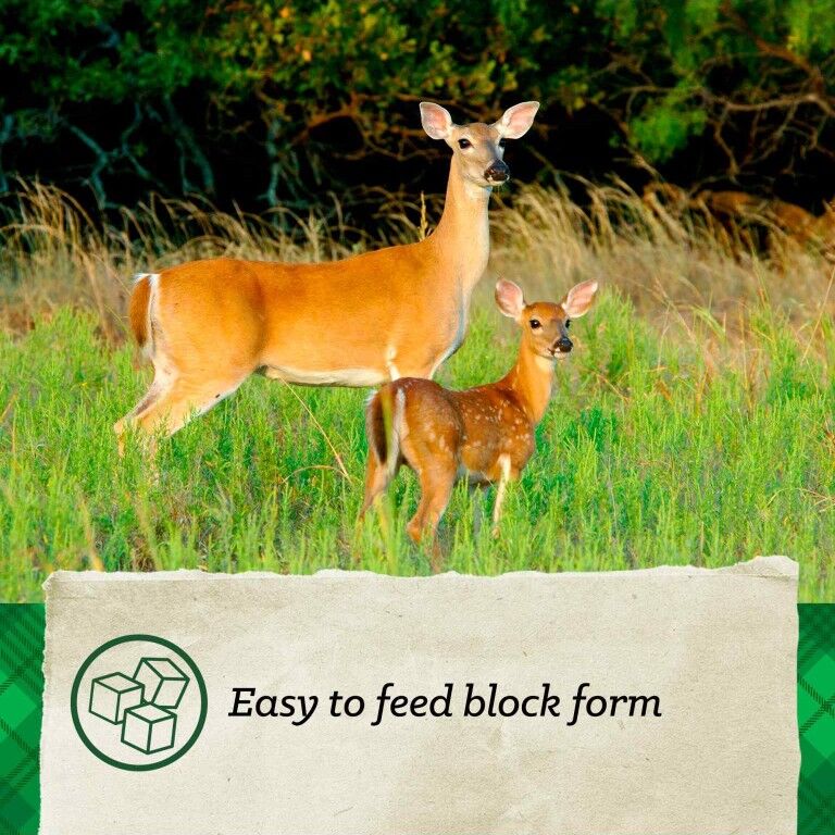 Nutrena Nature's Canvas Wildlife Watcher Block, 21-Lb