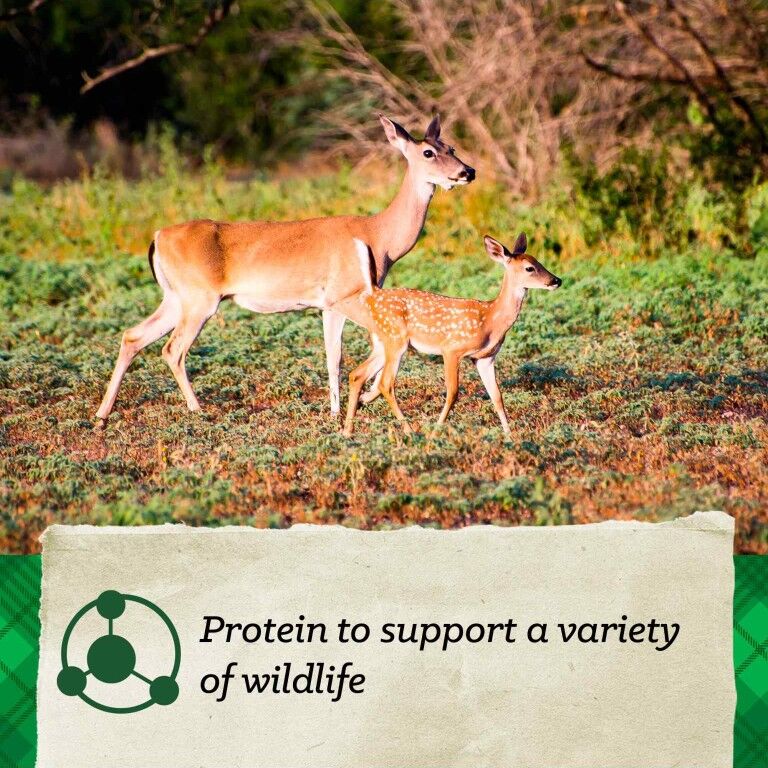 Nutrena Nature's Canvas Wildlife Watcher Block, 21-Lb