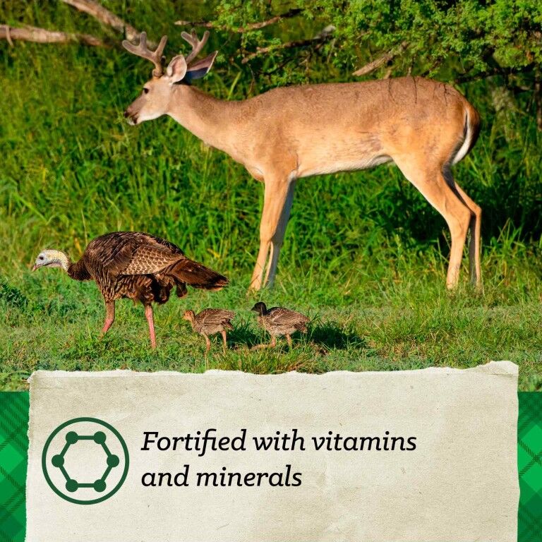 Nutrena Nature's Canvas Wildlife Watcher Block, 21-Lb