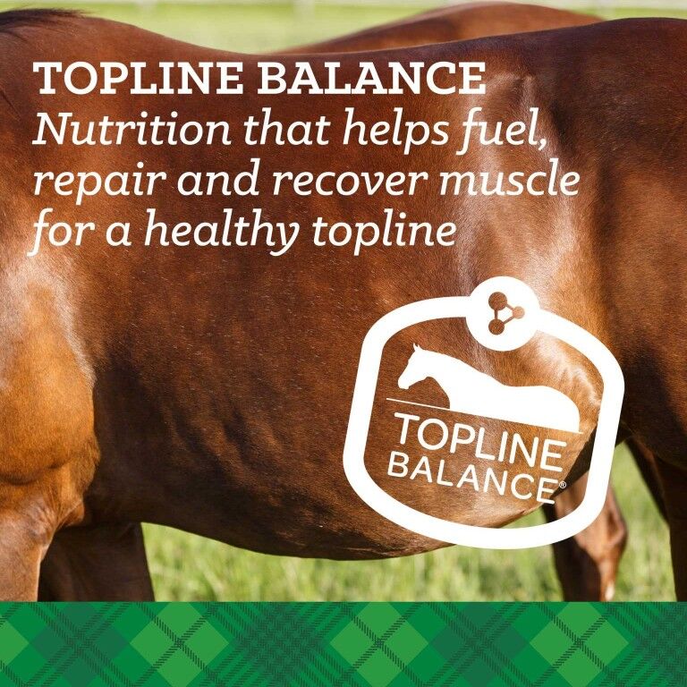Nutrena Empower Topline Balance, 40-Lb