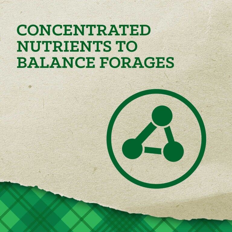 Nutrena Empower Topline Balance, 40-Lb