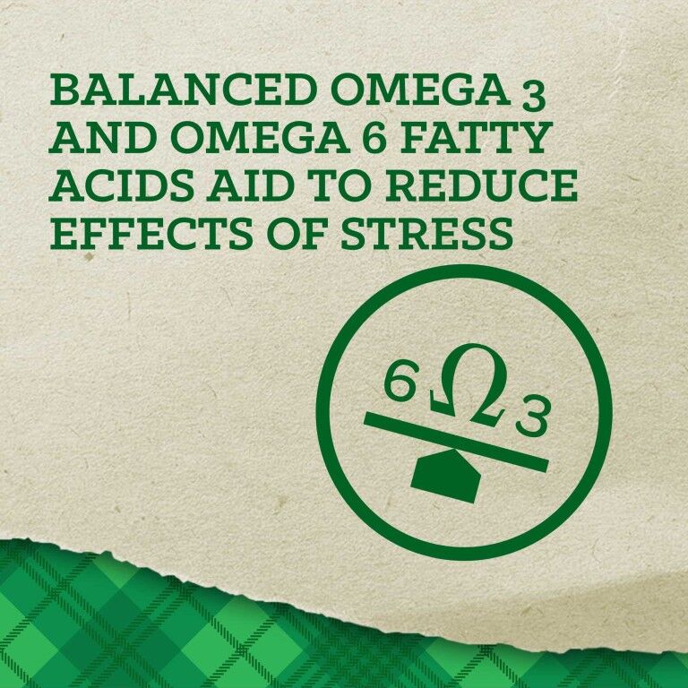 Nutrena Empower Boost, 40-Lb