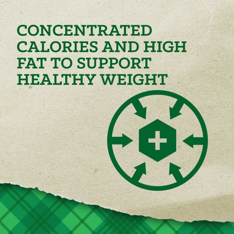 Nutrena Empower Boost, 40-Lb