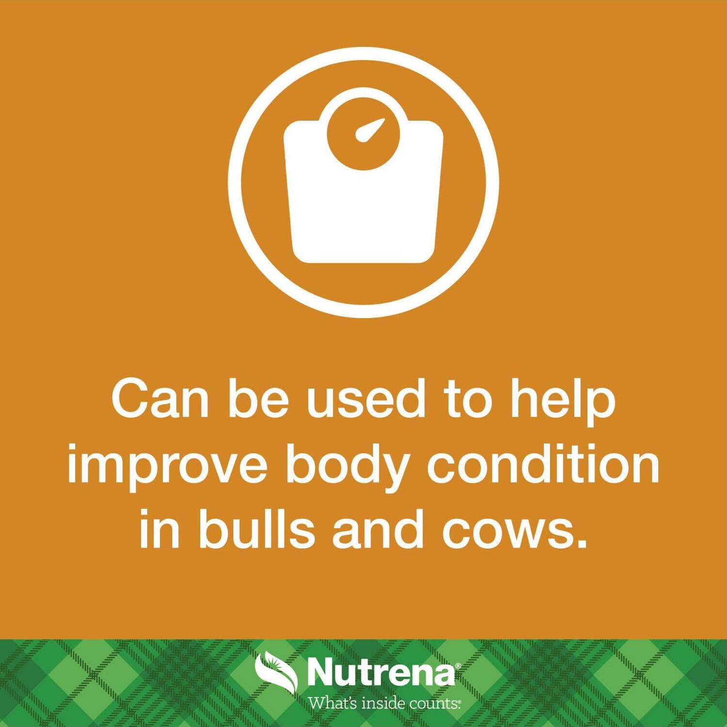 Nutrena NutreBeef Grower Finisher Feed, 50-Lb