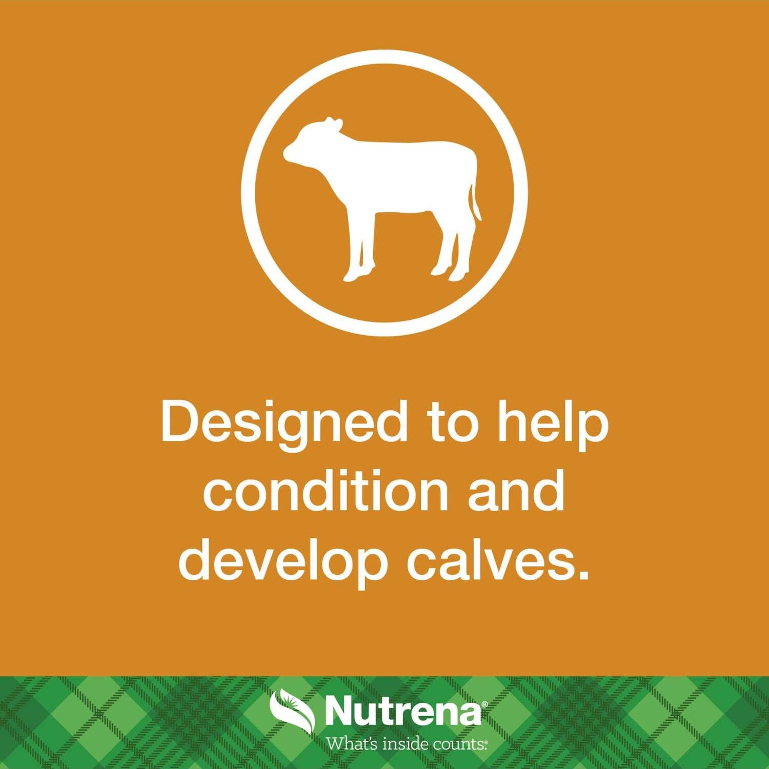 Nutrena NutreBeef Grower Finisher Feed, 50-Lb