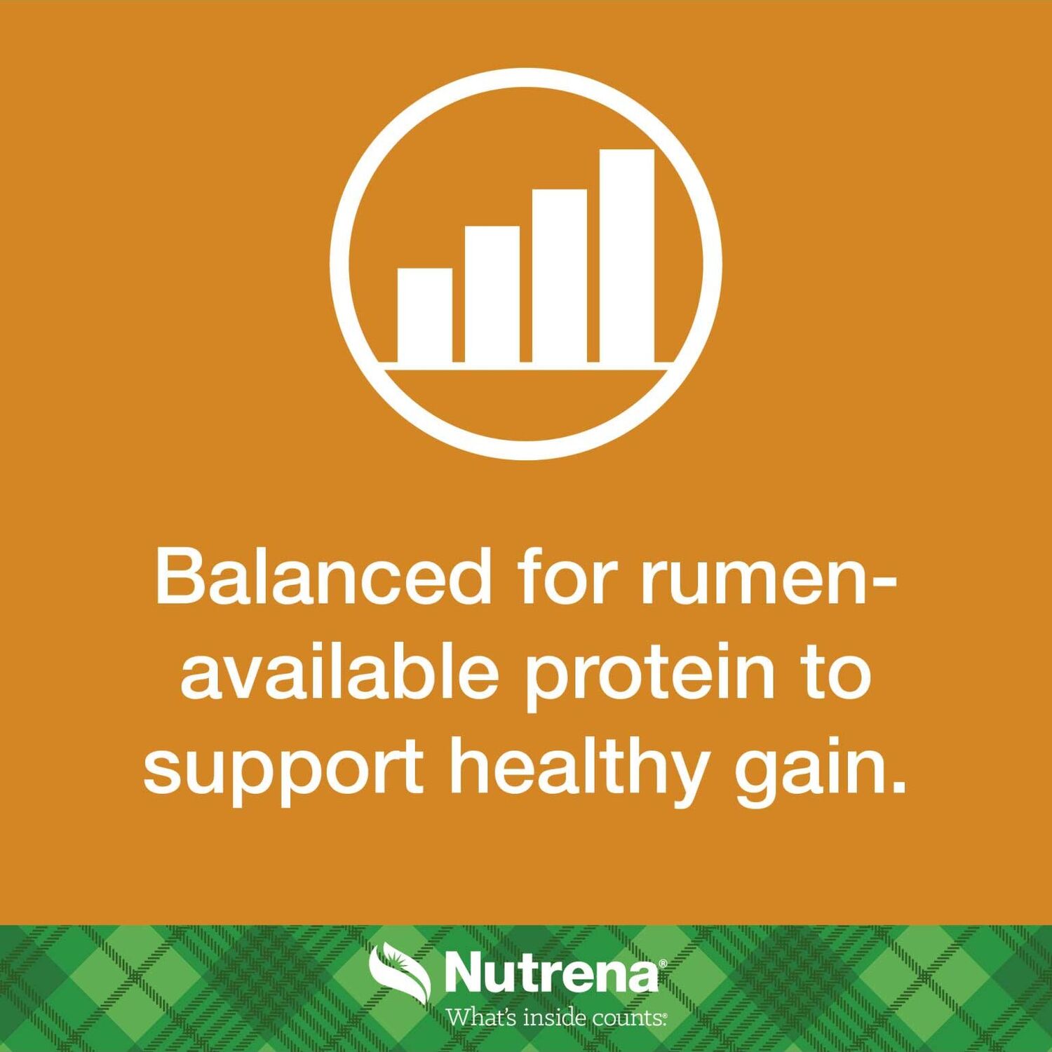 Nutrena NutreBeef Grower Finisher Feed, 50-Lb