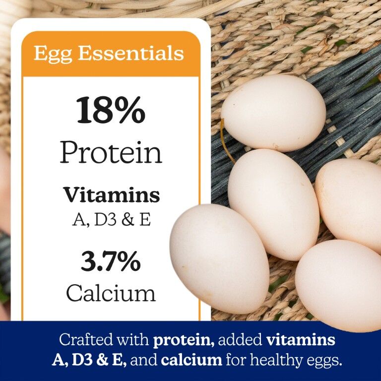 Nutrena NatureWise Hearty Hen 18% Protein Soy-Free Pellet, 40-Lb