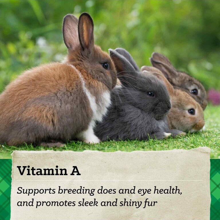 Nutrena NatureWise 15% Premium Rabbit Feed, 40-Lb