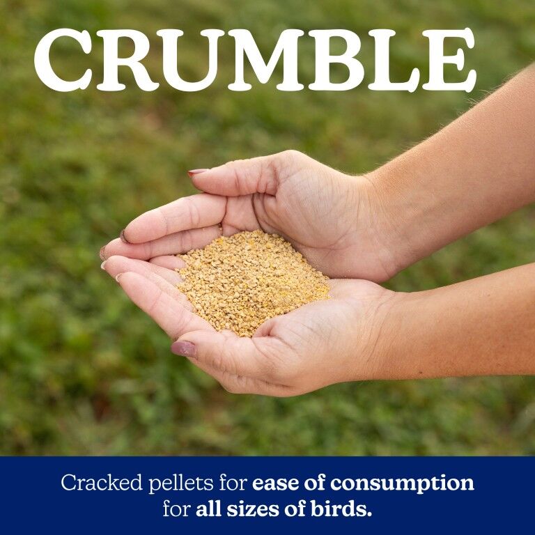 Nutrena NatureWise Chick Starter Grower 18% Crumble Non-Medicated, 40-Lb