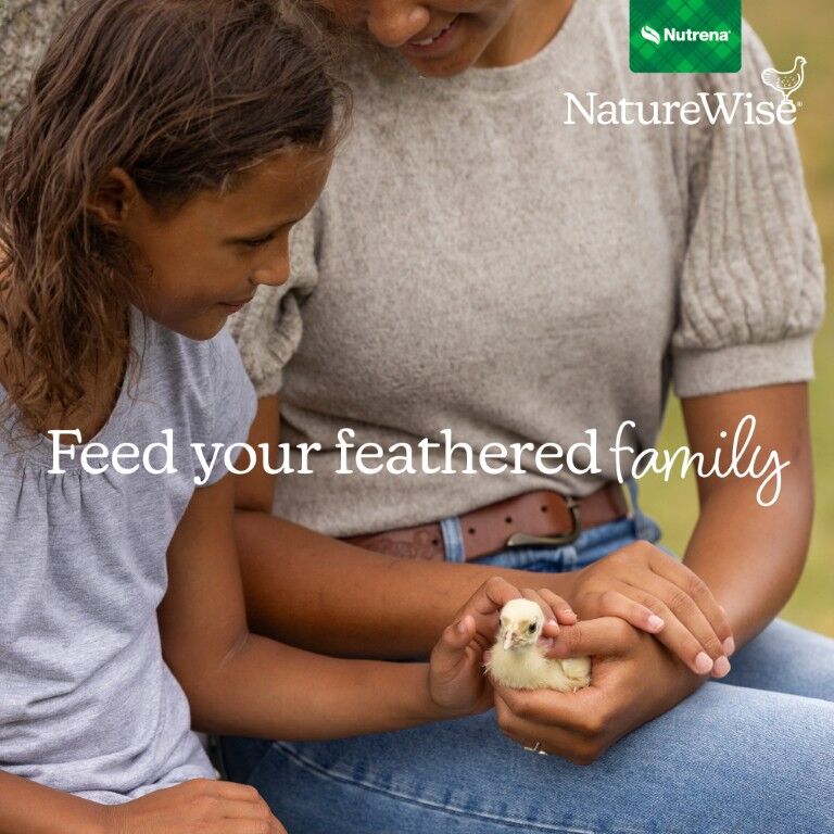 Nutrena NatureWise Chick Starter Grower 18% Crumble Non-Medicated, 7-Lb