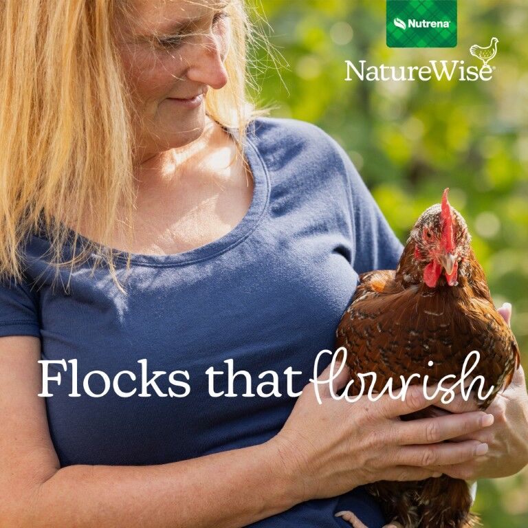 Nutrena NatureWise Oyster Shell, 7-Lb