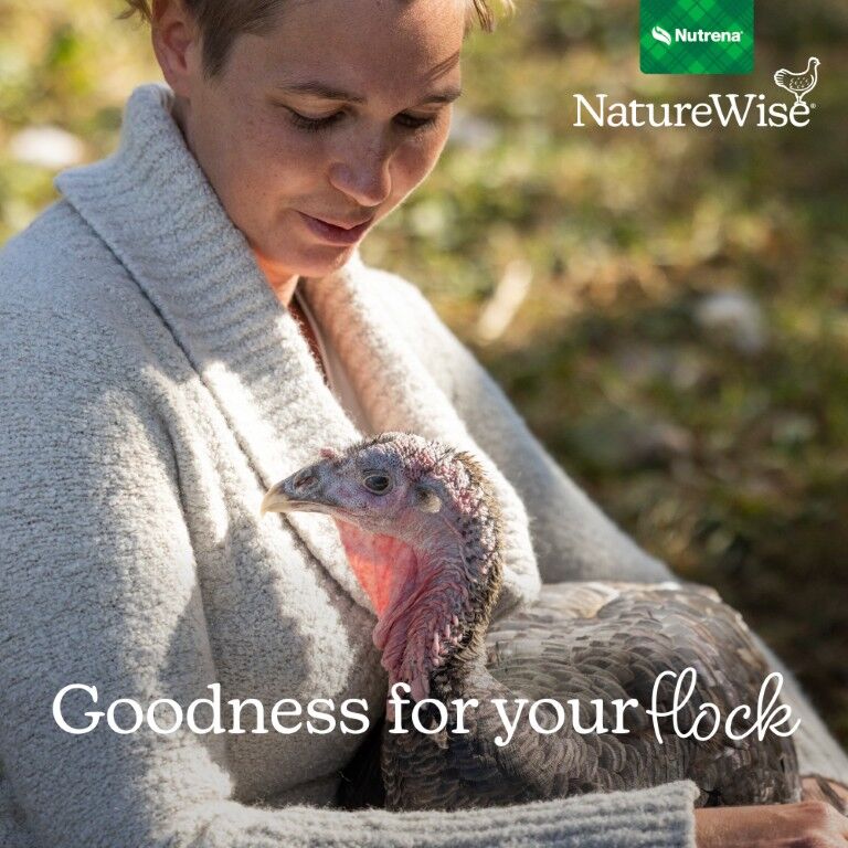 Nutrena NatureWise All Flock 20% Protein Pellet, 40-Lb