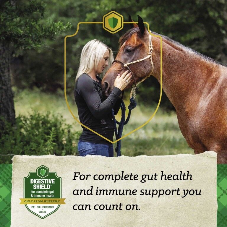 Nutrena SafeChoice Senior Multi-Form, 50-Lb