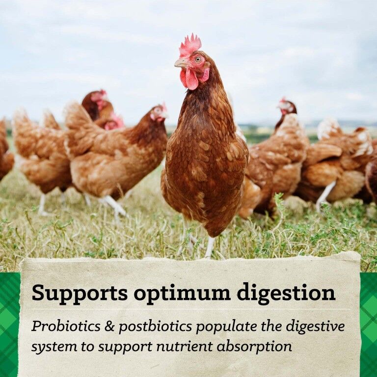 Nutrena Hi Pro Scratch Grains, 7-Lb