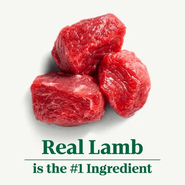 Nutro Natural Choice Small Bites Adult Lamb & Brown Rice Dry Dog Food, 30-Lb