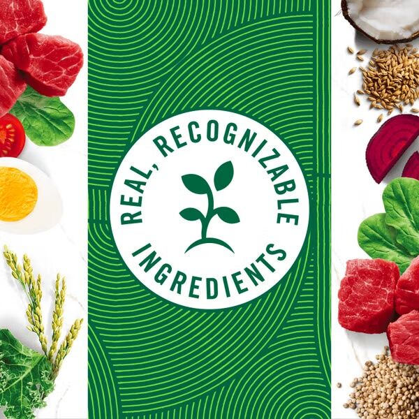 Nutro Natural Choice Small Bites Adult Lamb & Brown Rice Dry Dog Food, 30-Lb