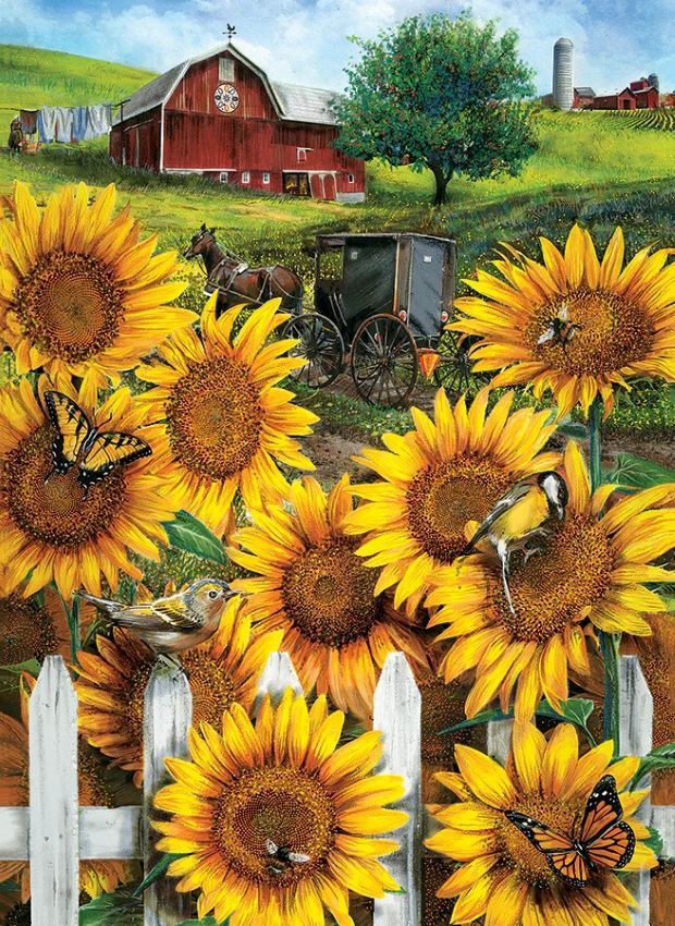 Outset Media Country Paradise Puzzle, 1000-Pc