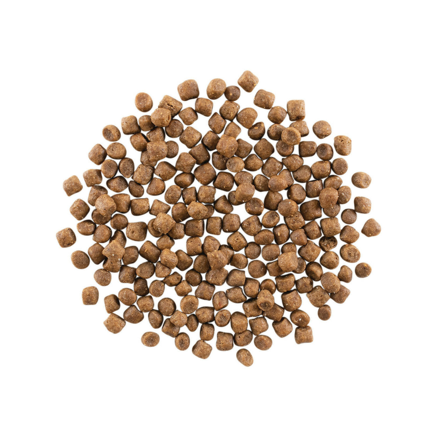 go! Solutions SENSITIVITIES Limited Ingredient Grain Free Chicken Dry Cat Food, 3-Lb Bag