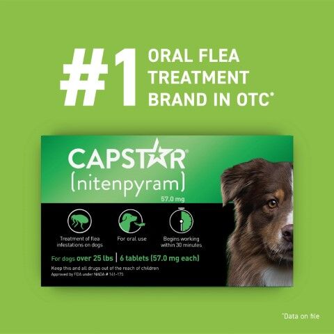 Capstar (nitenpyram) Oral Flea Treatment for Large Dogs, 6-Dose