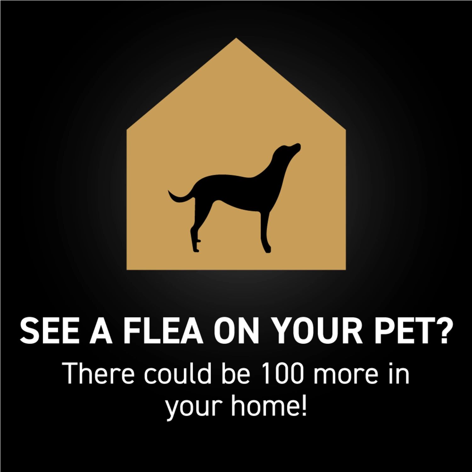 Capstar Nextstar Flea & Tick Topical for Medium Dogs, 3-Months