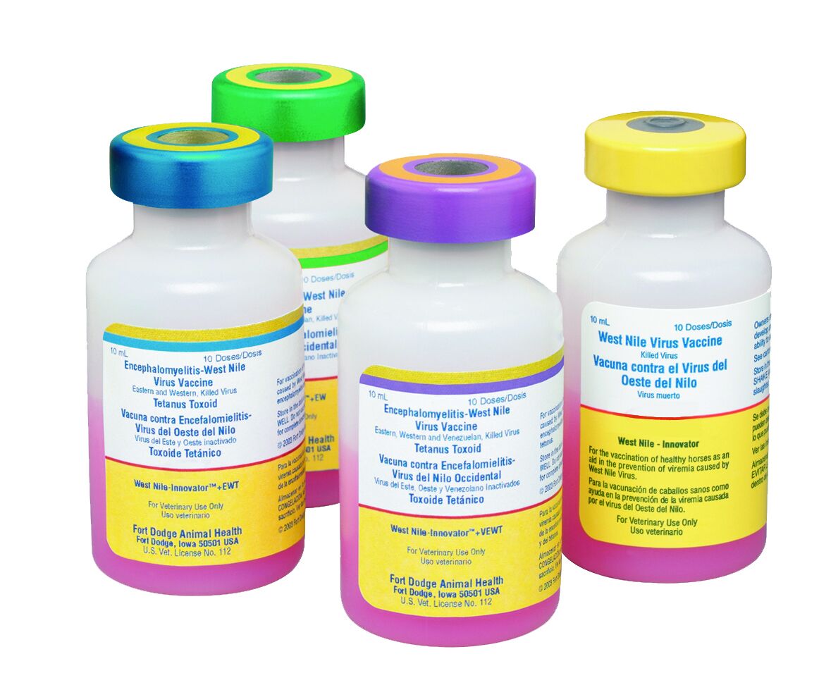 West Nile Innovator Equip WNV, Single Dose 