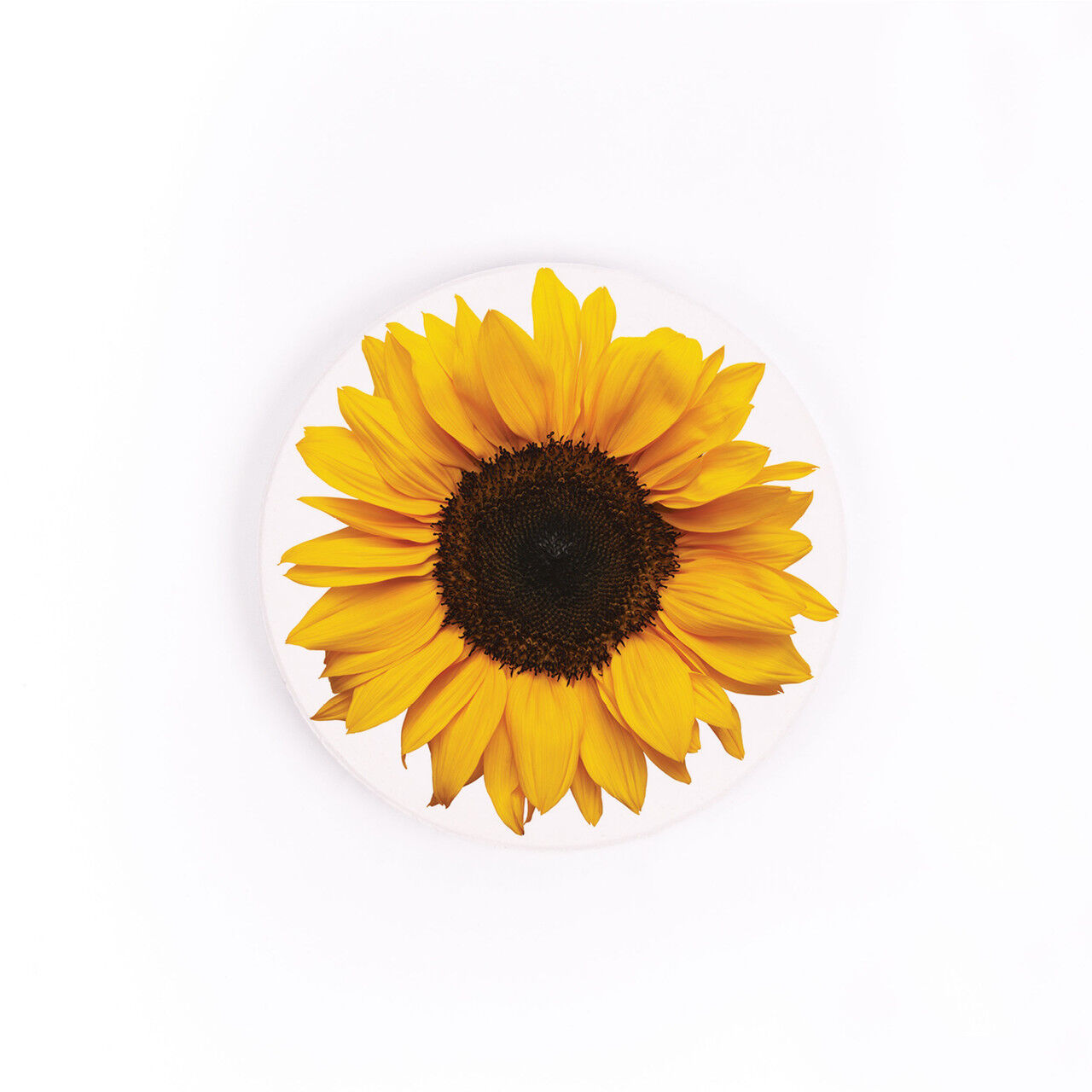 P. Graham Dunn Sunflower Ceramic Car Coaster, 2 3/4-In