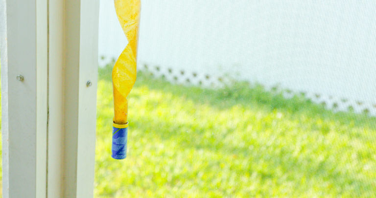 Raid Fly Ribbon, 4-Pk