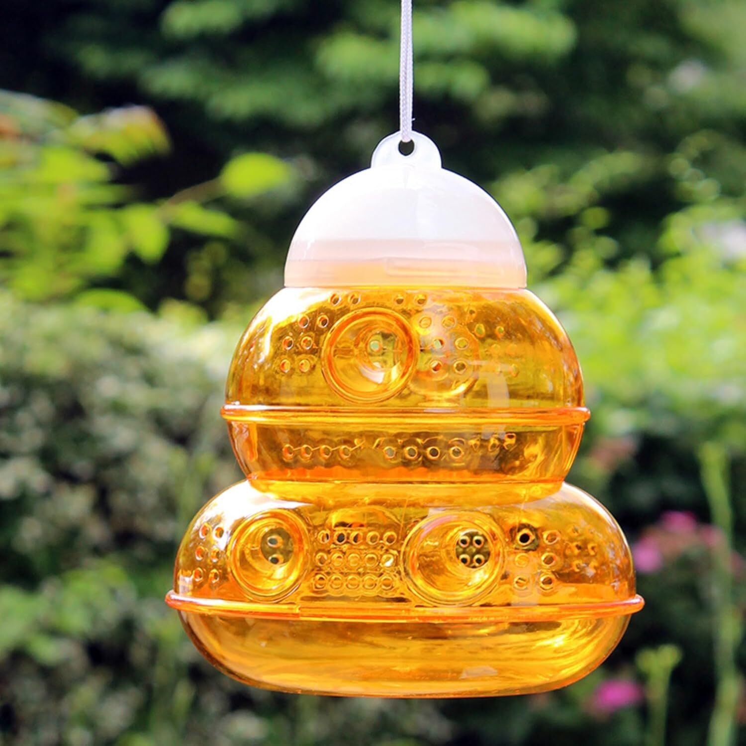 PIC Yellow Jacket & Wasp Trap