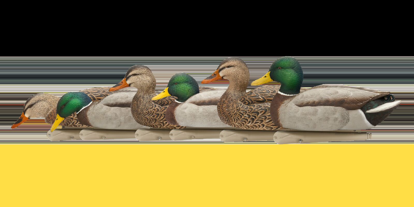 Avian X Topflight Fusion Mallards