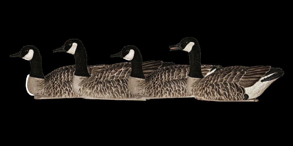 Avian-X Topflight Honkers Floater Decoys, 4-Pk