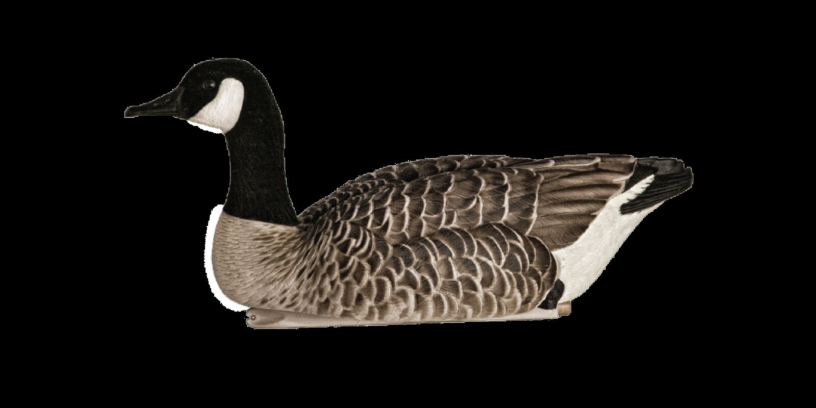 Avian-X Topflight Honkers Floater Decoys, 4-Pk