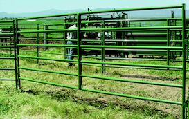 Powder River 16-Ft x 64-In 14-Ga 1600 Series Tube Panel