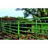 Powder River 12-Ft x 70-In x 2-In Rancher Panel