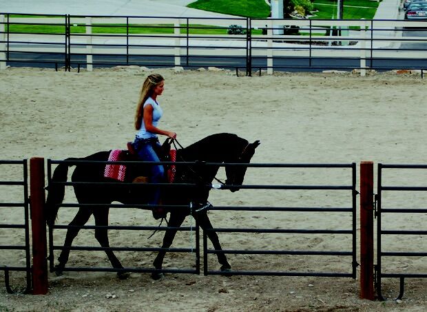Powder Mountain Gate
