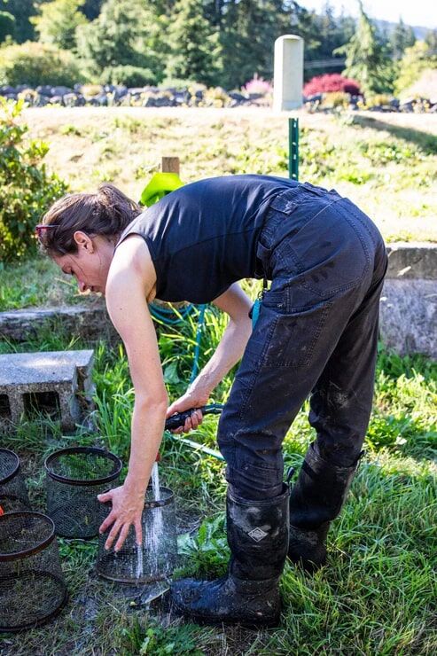 Dovetail Workwear Women's Provisions Ultralight Ripstop Cargo Pant