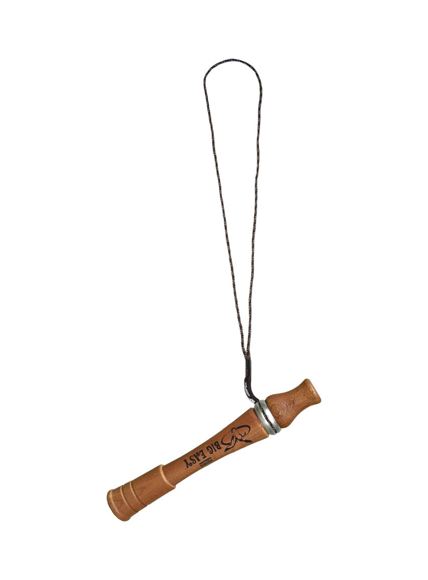 Single Lanyard