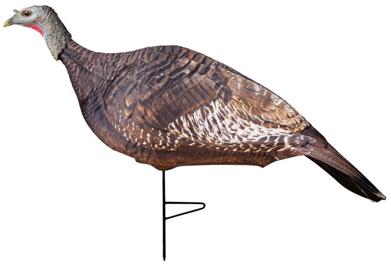 Photoform Hen Turkey Decoy