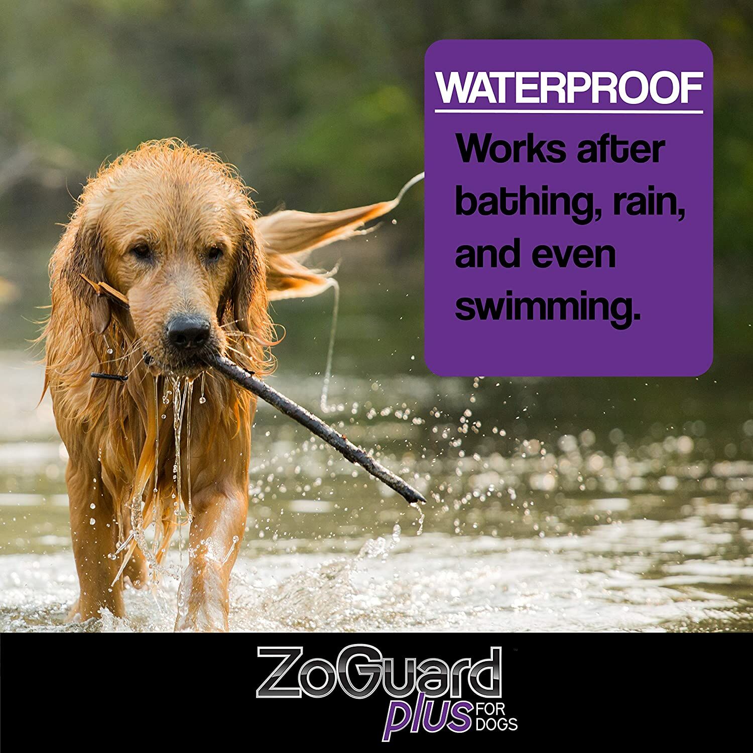 Zoguard Plus For Dogs, 23 - 44-Lb and Up, Single Dose