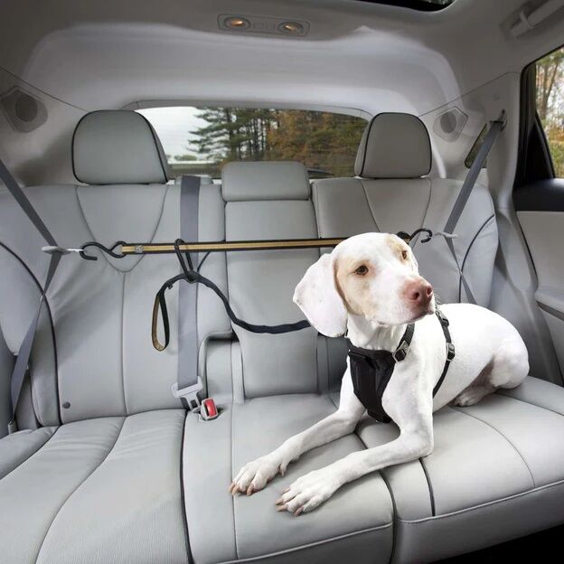 Kurgo Auto Zip Line Dog Car Restraint