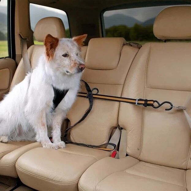 Kurgo Auto Zip Line Dog Car Restraint