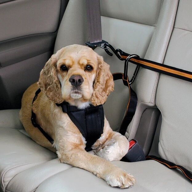 Kurgo Auto Zip Line Dog Car Restraint