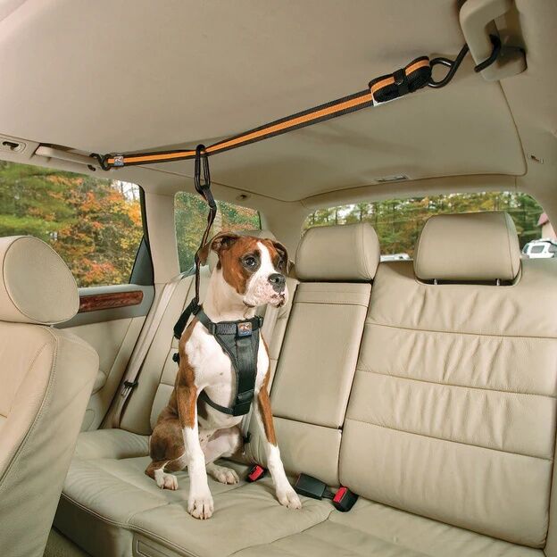 Kurgo Auto Zip Line Dog Car Restraint
